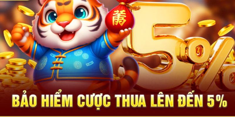 Hoàn trả 5% tại sảnh cược thể thao cứu nguy lúc bạn cược thua