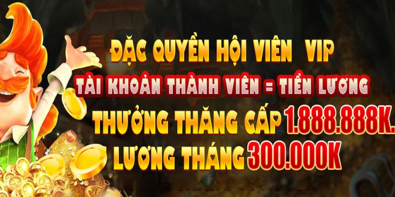 Tổng hợp các điều khoản bạn cần tuân thủ