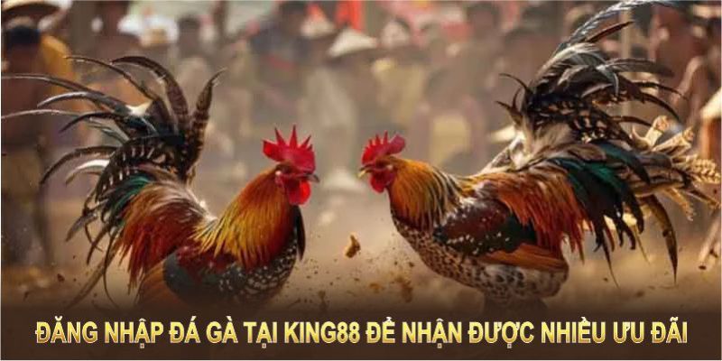 Quy luật đá gà King88 bạn cần nắm rõ