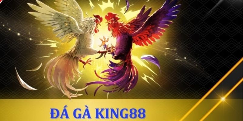 Các thủ thuật trong đá gà King88 giúp bạn chiến thắng