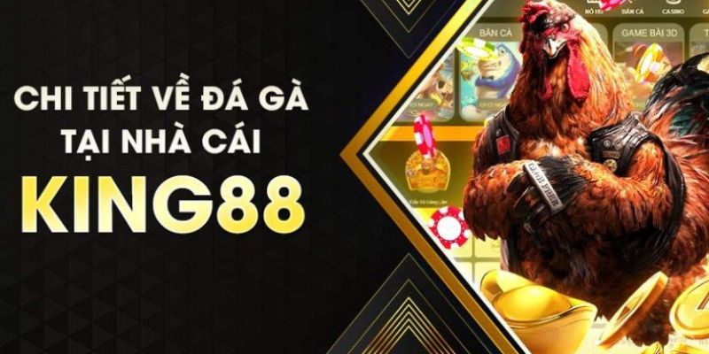 Ưu điểm giúp đá gà của King88 ghi điểm