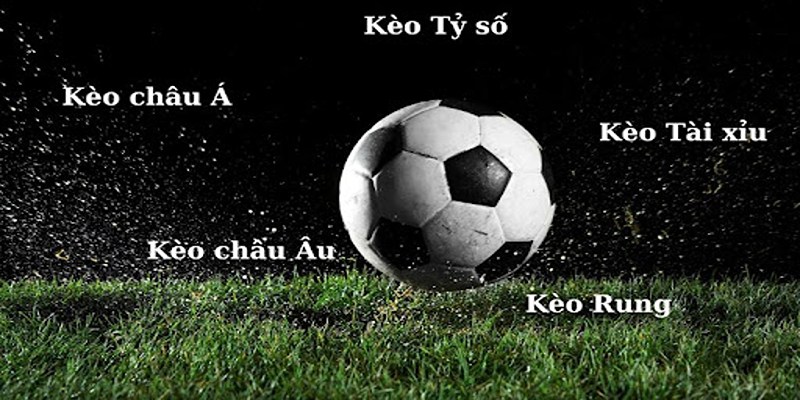 Các hình thức kèo thể thao King88 rất đa dạng và thưởng hấp dẫn